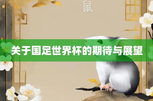 关于国足世界杯的期待与展望眉山市正发家政服务有限公司