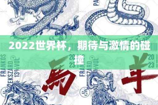 2022世界杯，期待与激情的碰撞眉山市正发家政服务有限公司