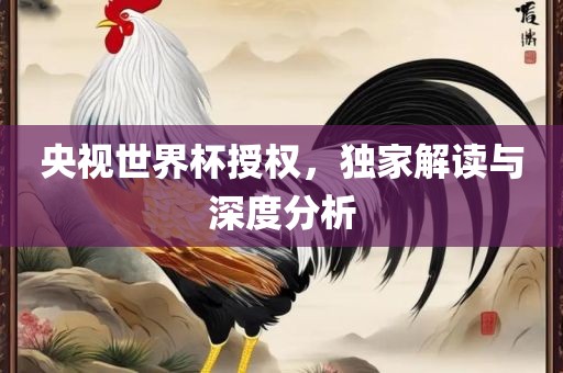 央视世界杯授权，独家解读与深度分析眉山市正发家政服务有限公司