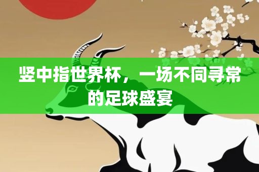 竖中指世界杯，一场不同寻常的足球盛宴眉山市正发家政服务有限公司
