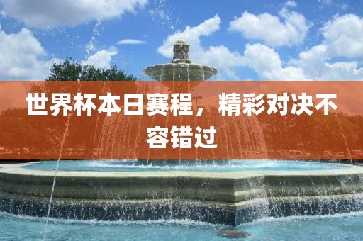 世界杯本日赛程，精彩对决不容错过眉山市正发家政服务有限公司