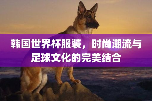 韩国世界杯服装，时尚潮流与足球文化的完美结合眉山市正发家政服务有限公司