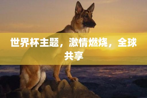 世界杯主题，激情燃烧，全球共享眉山市正发家政服务有限公司