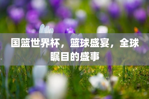 国篮世界杯，篮球盛宴，全球瞩目的盛事