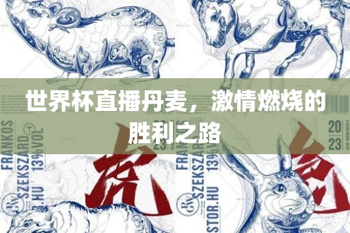 世界杯直播丹麦，激情燃烧的胜利之路眉山市正发家政服务有限公司