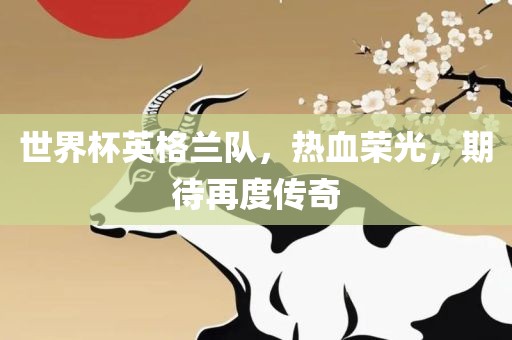 世界杯英格兰队，热血荣光，期待再度传奇