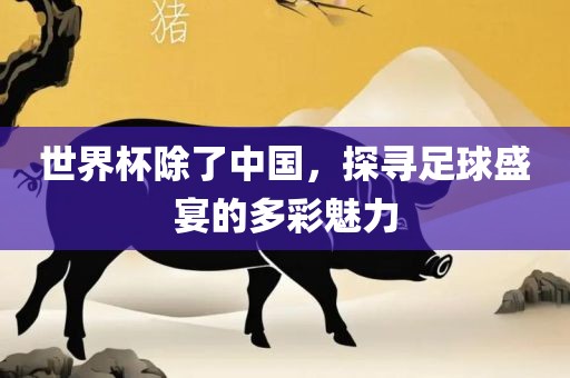世界杯眉山市正发家政服务有限公司除了中国，探寻足球盛宴的多彩魅力