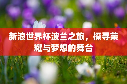 新浪世界杯波兰之旅，探寻荣耀与梦想的舞台