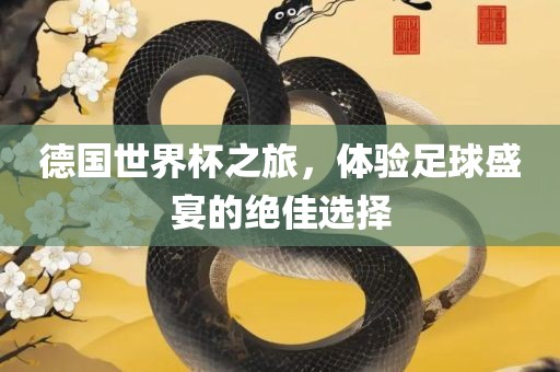 德眉山市正发家政服务有限公司国世界杯之旅，体验足球盛宴的绝佳选择