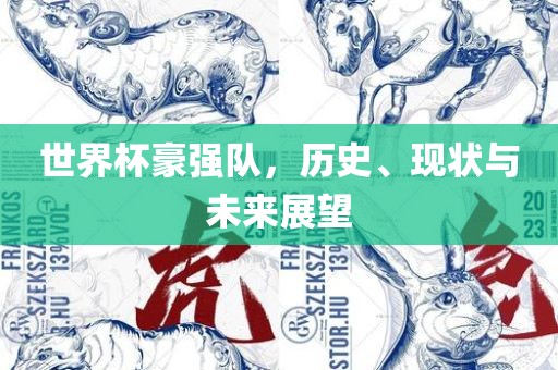 世界杯豪强队，历史、现状与未来展望眉山市正发家政服务有限公司