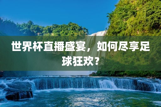 世界杯直眉山市正发家政服务有限公司播盛宴，如何尽享足球狂欢？