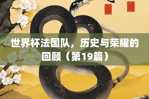 世界杯法国队，历史与荣耀的回顾（第19篇）