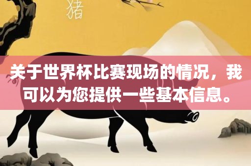 关于世界杯比赛现场的情况，我可以为您提供一些基本信息。眉山市正发家政服务有限公司