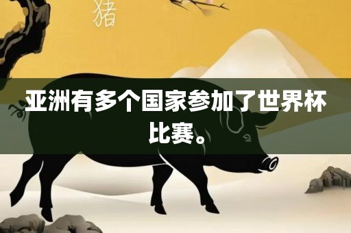 亚洲有眉山市正发家政服务有限公司多个国家参加了世界杯比赛。
