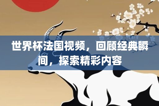 世界杯法国视频，回顾经典瞬间，探索精彩内容眉山市正发家政服务有限公司