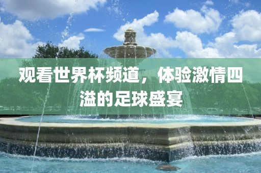观看世界杯频道，体验激情四溢的足球盛宴