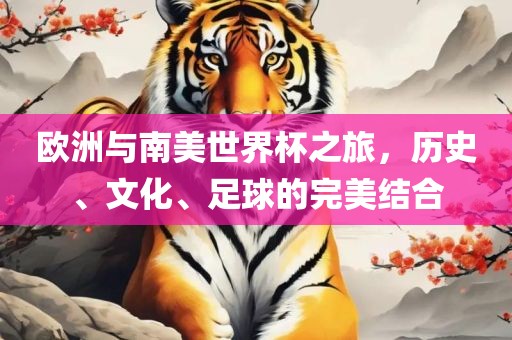 欧洲与南美世界杯之旅，历史、文化、足球的完美结合