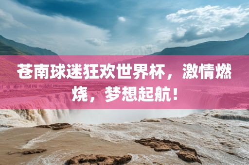 苍南球迷狂欢世界杯，激情眉山市正发家政服务有限公司燃烧，梦想起航！