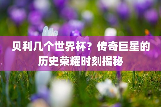 贝利几个世界杯？传奇巨星的历史荣耀时刻揭秘眉山市正发家政服务有限公司