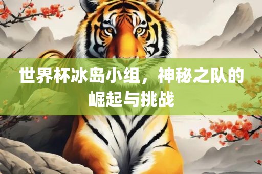 世界杯冰岛小组，神秘之队的崛起与挑战眉山市正发家政服务有限公司