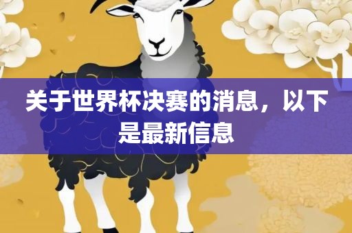 关于世界杯决赛的消息，以下是最新信息眉山市正发家政服务有限公司