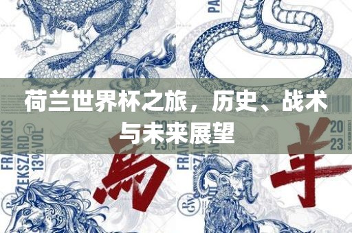 荷兰世界杯之旅，历史、战术与未来眉山市正发家政服务有限公司展望