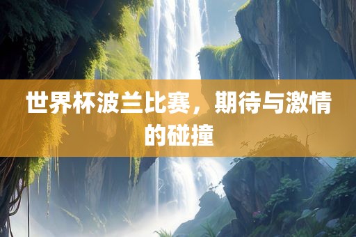 世界杯波兰比赛，期待与激情的碰撞