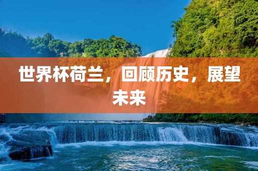 世界杯荷兰，回顾历史，眉山市正发家政服务有限公司展望未来