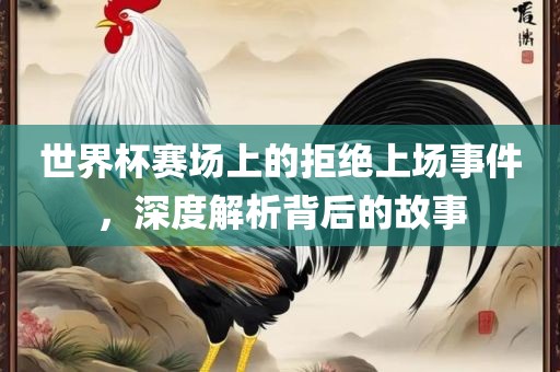 世界杯赛场上眉山市正发家政服务有限公司的拒绝上场事件，深度解析背后的故事