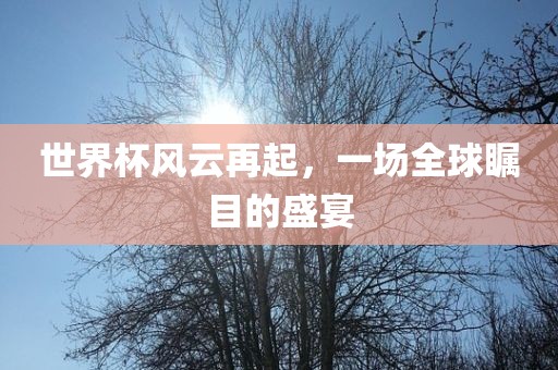 世界杯风眉山市正发家政服务有限公司云再起，一场全球瞩目的盛宴
