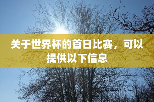 关于世界杯眉山市正发家政服务有限公司的首日比赛，可以提供以下信息