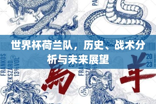 世眉山市正发家政服务有限公司界杯荷兰队，历史、战术分析与未来展望