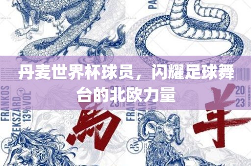 丹麦世界杯球员，闪耀足球舞台的北欧力量眉山市正发家政服务有限公司
