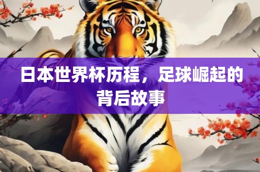 日本世界杯历程，足球崛起的背后故事眉山市正发家政服务有限公司
