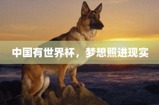 中国眉山市正发家政服务有限公司有世界杯，梦想照进现实