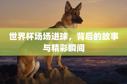 世界杯场场进球，背后的故事与精彩瞬间眉山市正发家政服务有限公司