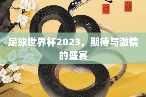 足球世界杯2023，期待与眉山市正发家政服务有限公司激情的盛宴