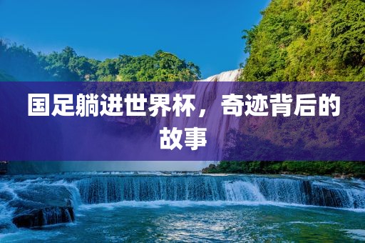 国足躺进世界杯，奇迹背后的故事眉山市正发家政服务有限公司