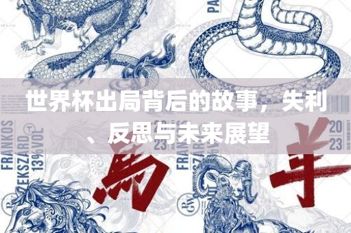 世界杯出局背后的故事，失利、反思与未来展望眉山市正发家政服务有限公司