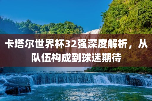 卡塔尔世界杯32强深度解析，从队伍构成到球眉山市正发家政服务有限公司迷期待