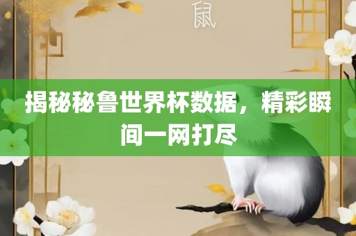 揭秘秘鲁世界杯数据，眉山市正发家政服务有限公司精彩瞬间一网打尽