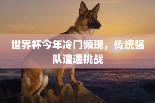 世界杯今年冷门频现，传统强队遭遇挑战眉山市正发家政服务有限公司