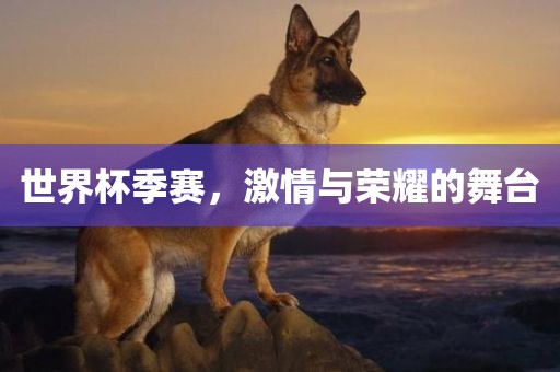 世界杯季赛，激情与荣耀的舞台