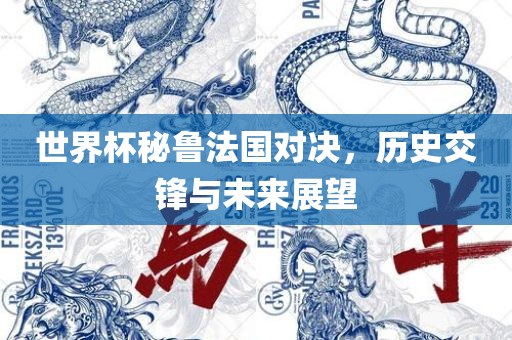 世界杯秘鲁法国对决，历史交锋与未来展望