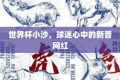 世界杯小沙，球迷心中的新晋网红眉山市正发家政服务有限公司