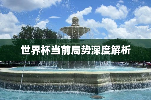 世界杯当前局势深度解析眉山市正发家政服务有限公司