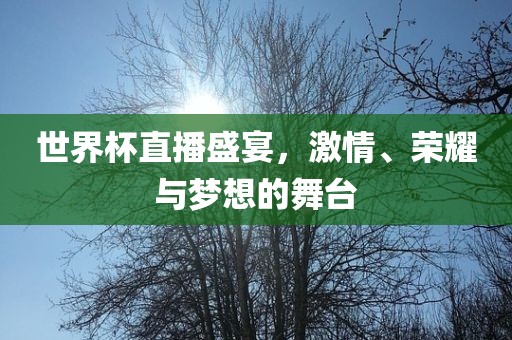 世界杯直播盛宴，激情、荣耀与梦想的舞台眉山市正发家政服务有限公司