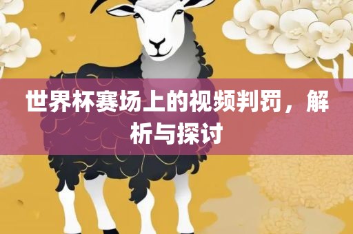 世界杯赛场上的视频判罚，解析与探讨眉山市正发家政服务有限公司
