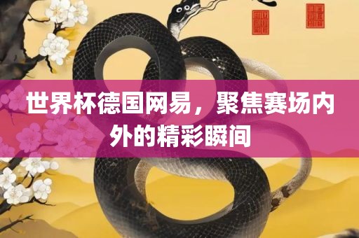 世界杯德国网易，聚焦赛场内外的精彩瞬间