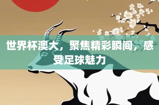 世界杯澳大，聚焦精彩瞬间，感受足球魅力眉山市正发家政服务有限公司